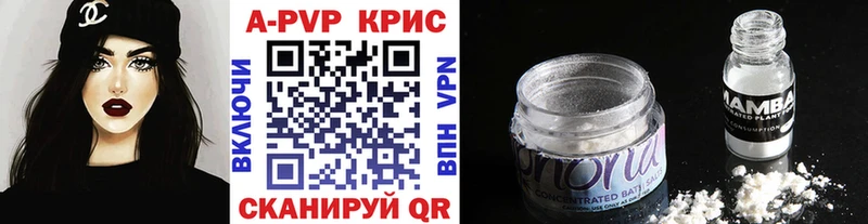 A PVP СК КРИС  Ярославль 