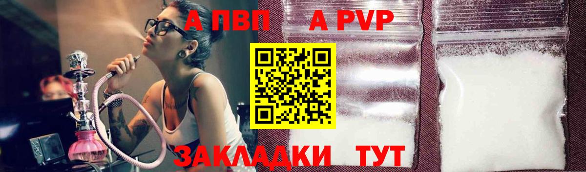 Альфа ПВП СК Ярославль