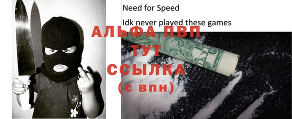 Альфа ПВП Гусев