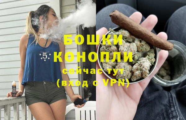 Альфа ПВП Гусев