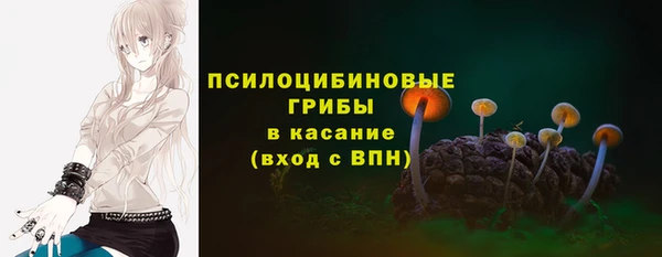 2c-b Гусь-Хрустальный