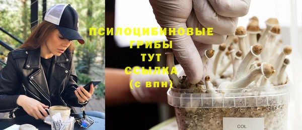 Альфа ПВП Гусев