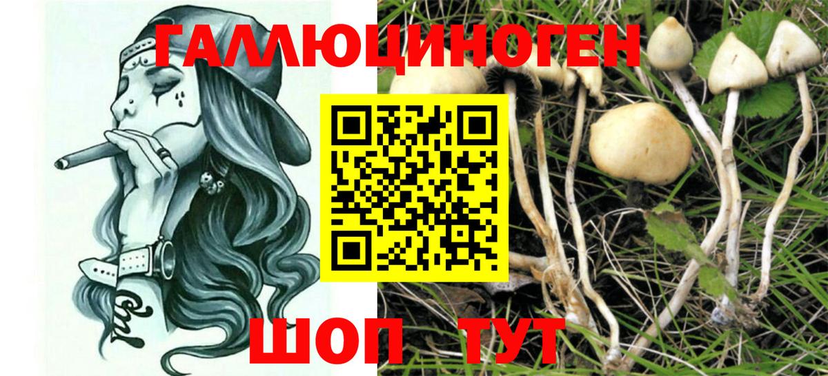 Псилоцибиновые грибы MAGIC MUSHROOMS  Вход с VPN  Галлюциногенные грибы мухоморы  Ярославль 
